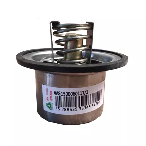 Thermostat Core (80°C)